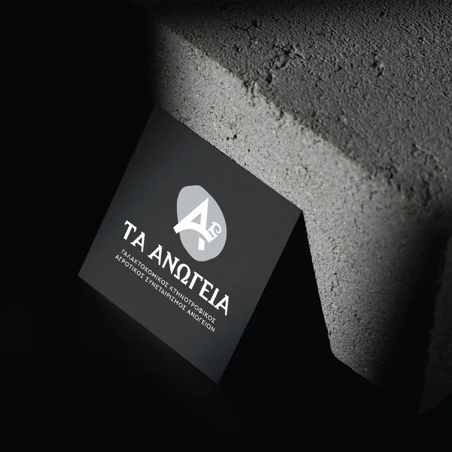 Ta Anogia brand identity project